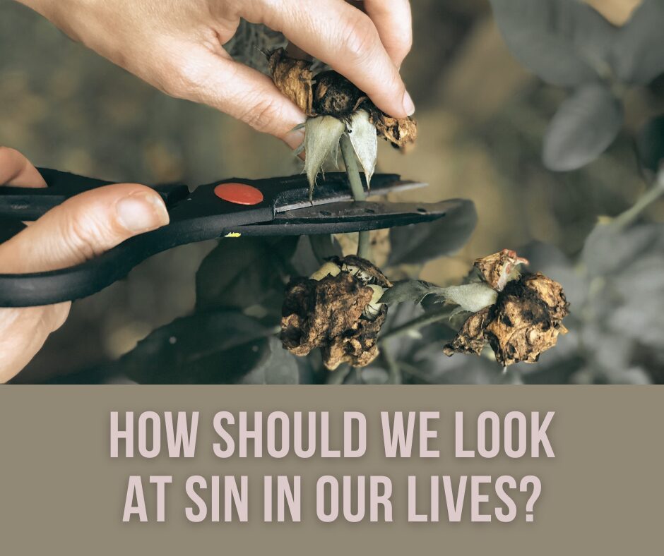 How should we look at sin in our lives