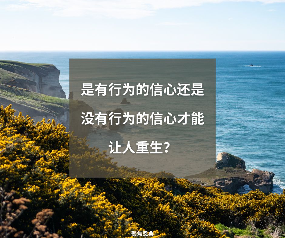 没有行为的信心是什么