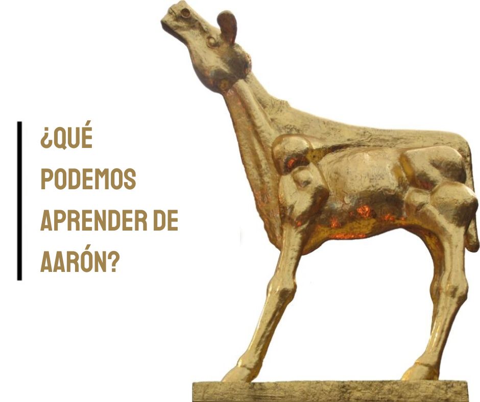 Tradición y presión de grupo