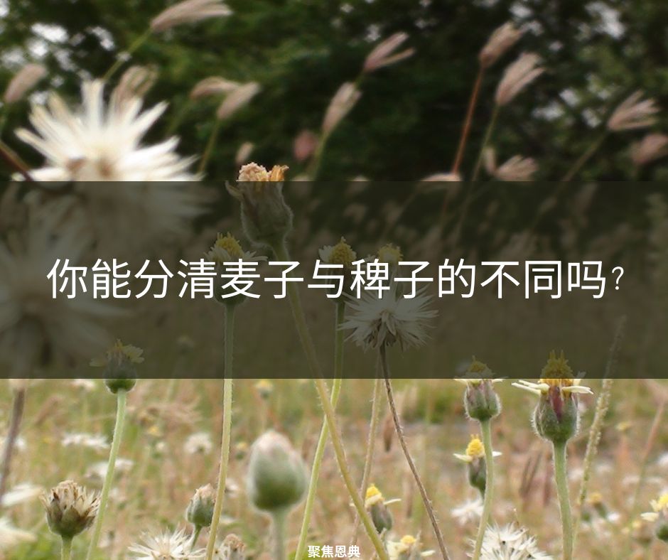 xr:d:DAGB8xlvjsg:13,j:7091342593448418754,t:24041520