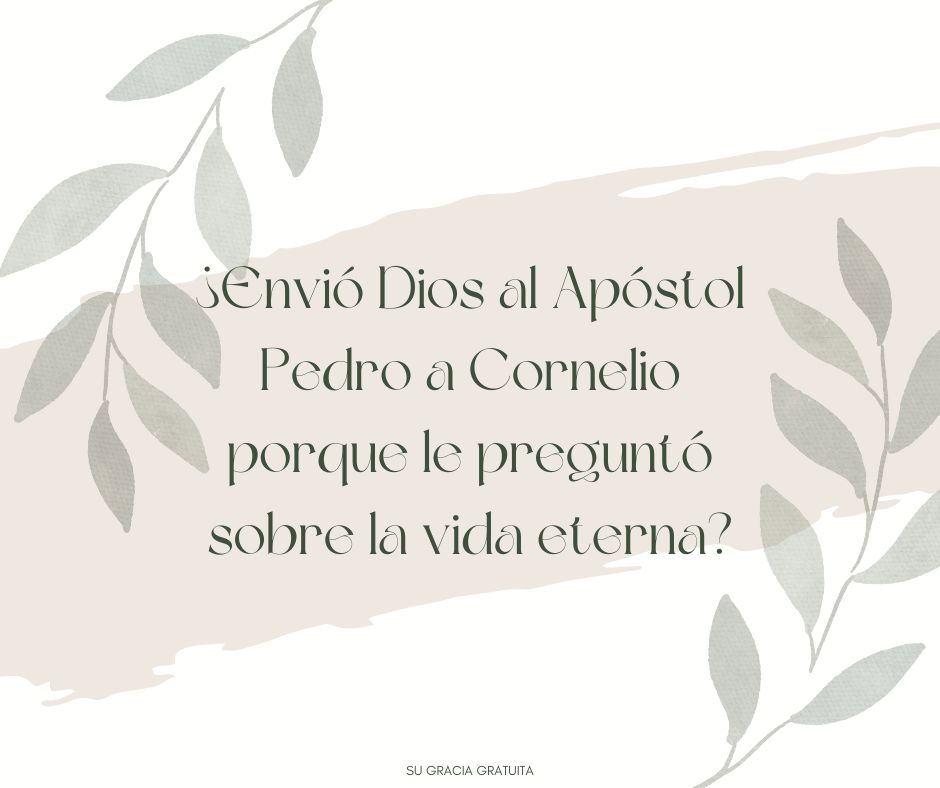 xr:d:DAGCC-C1Jb8:12,j:248122533528306819,t:24041117