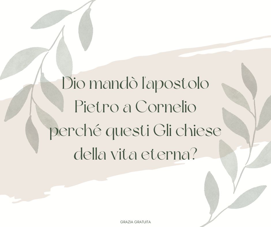 xr:d:DAGCC-C1Jb8:6,j:5861859374151733809,t:24041019