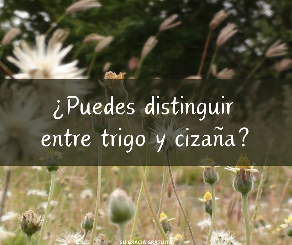 xr:d:DAGB8xlvjsg:9,j:825708987670334748,t:24040919