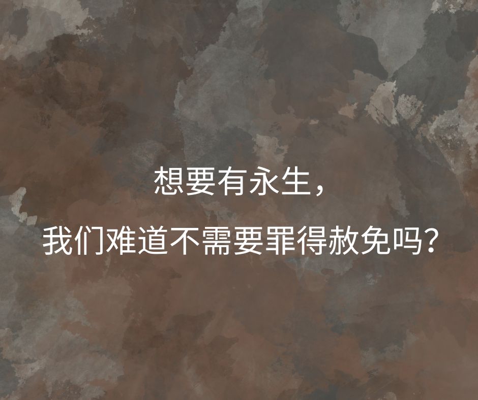 xr:d:DAGBNPFF3wM:24,j:6403417027397588661,t:24040820