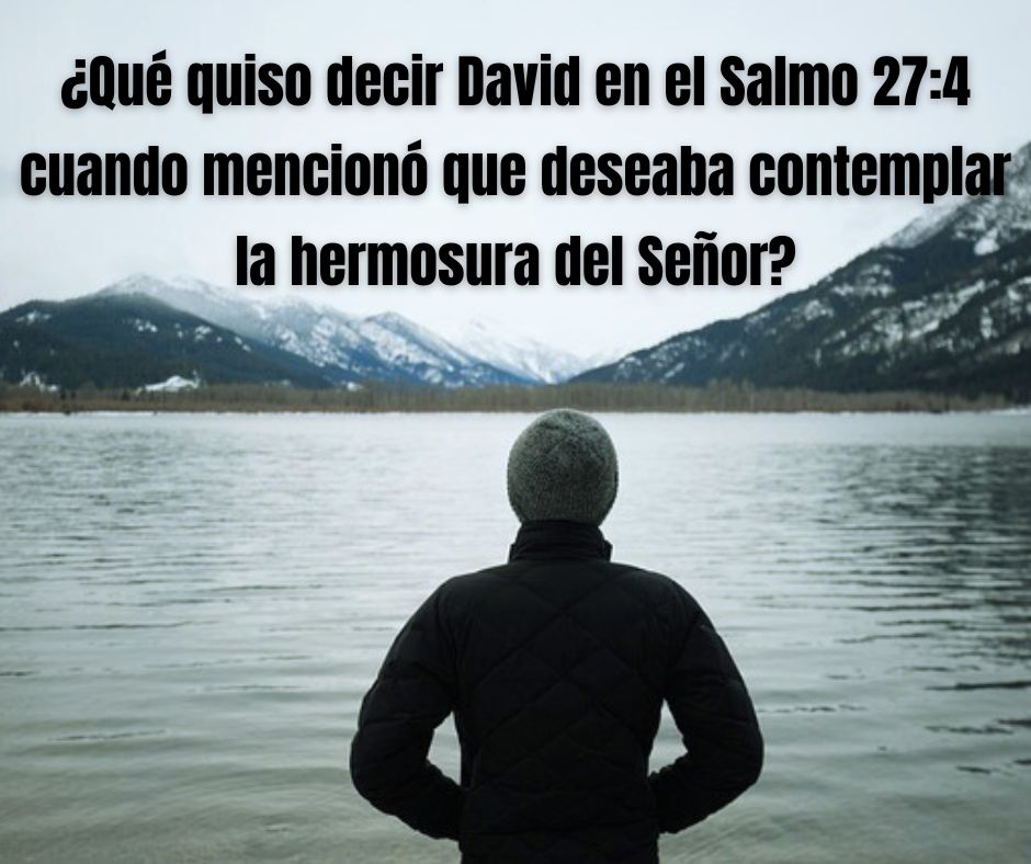 ¿Has contemplado últimamente la hermosura del Señor?