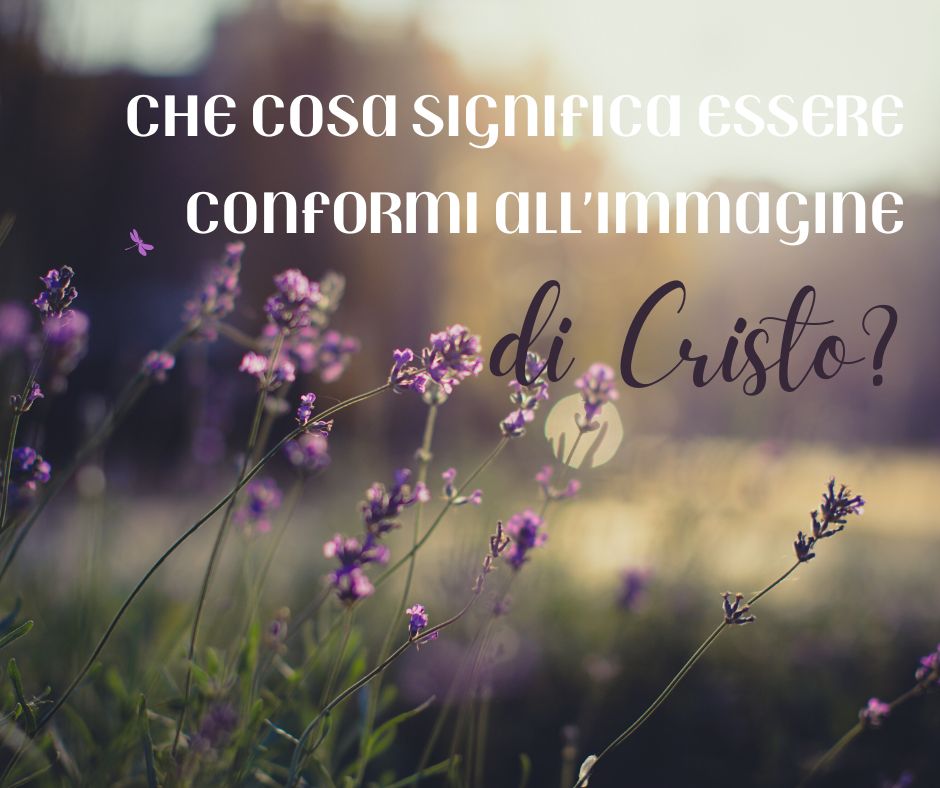 Ci saranno donne in cielo?