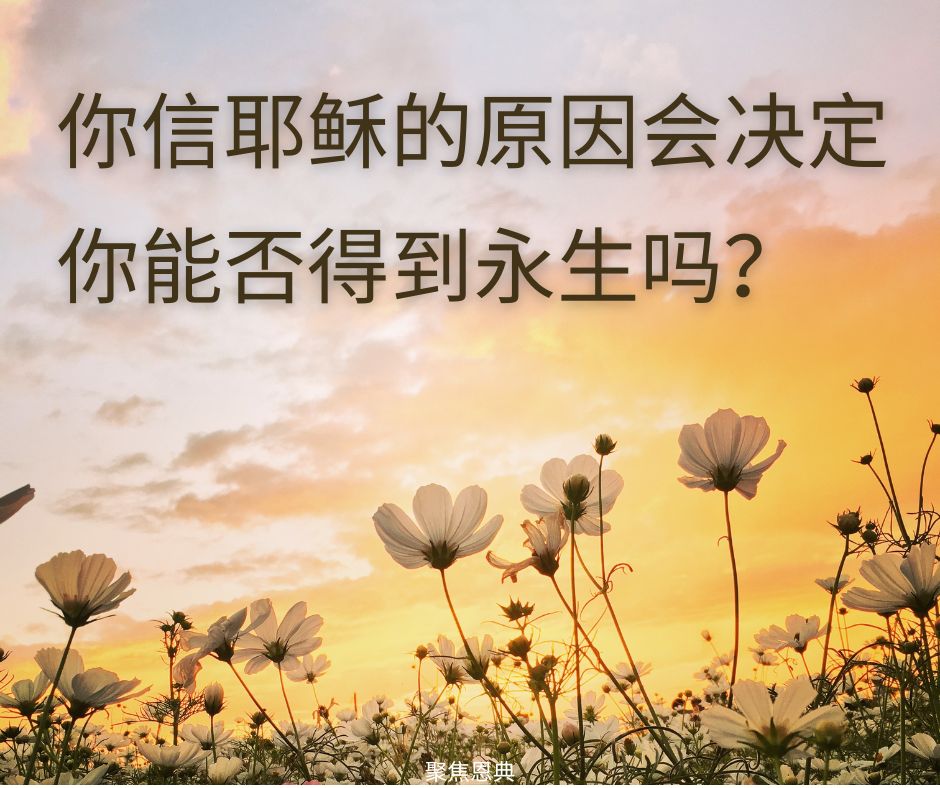 主耶稣不相信约2