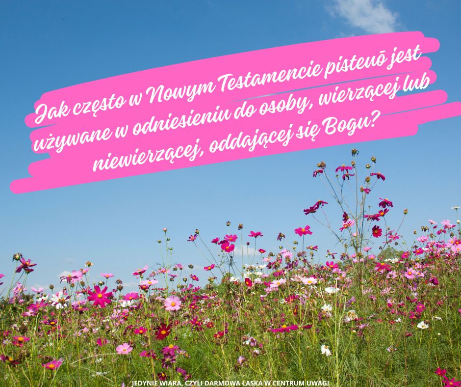 Jak często w Nowym Testamencie pisteuō jest używane w odniesieniu do osoby