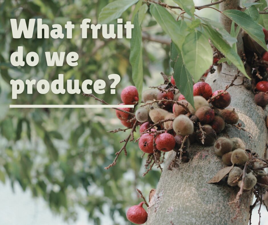 What fruit do we produce