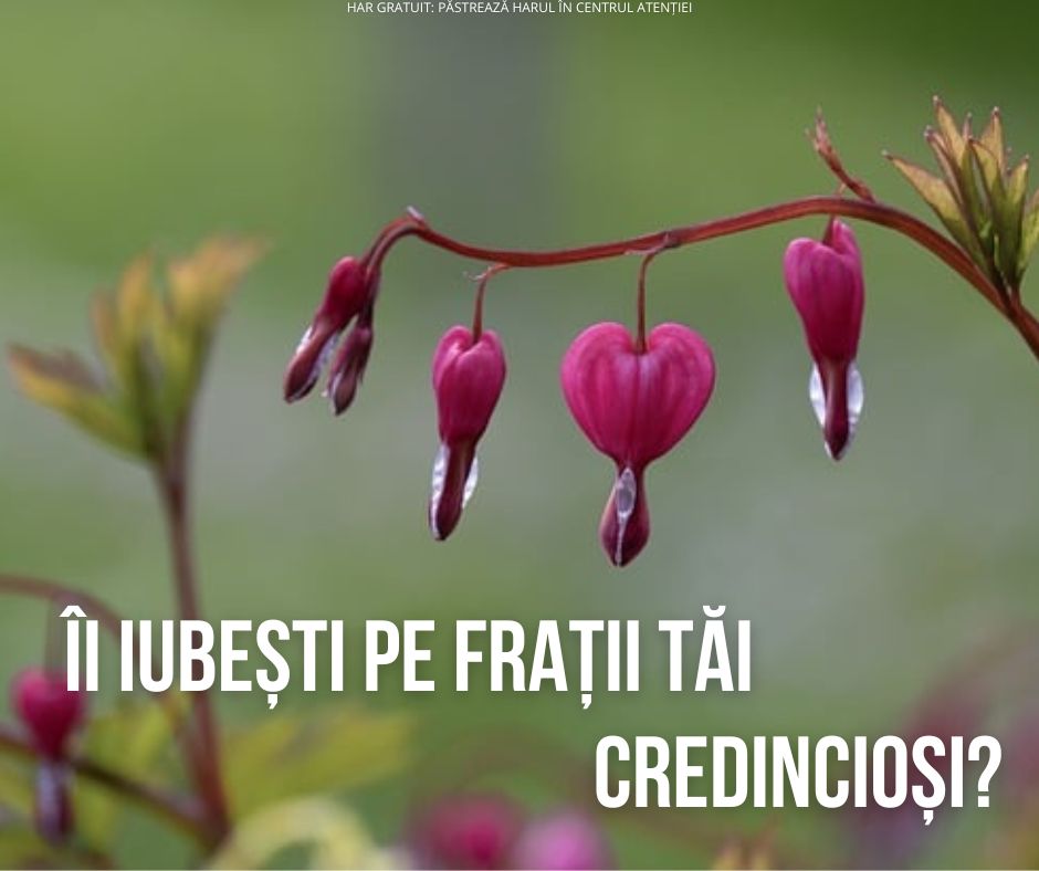 Aparențe înșelătoare