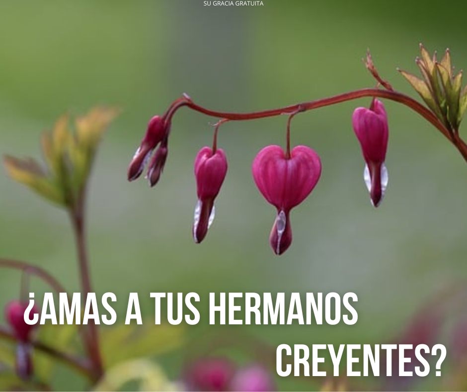 Detrás de la sonrisa