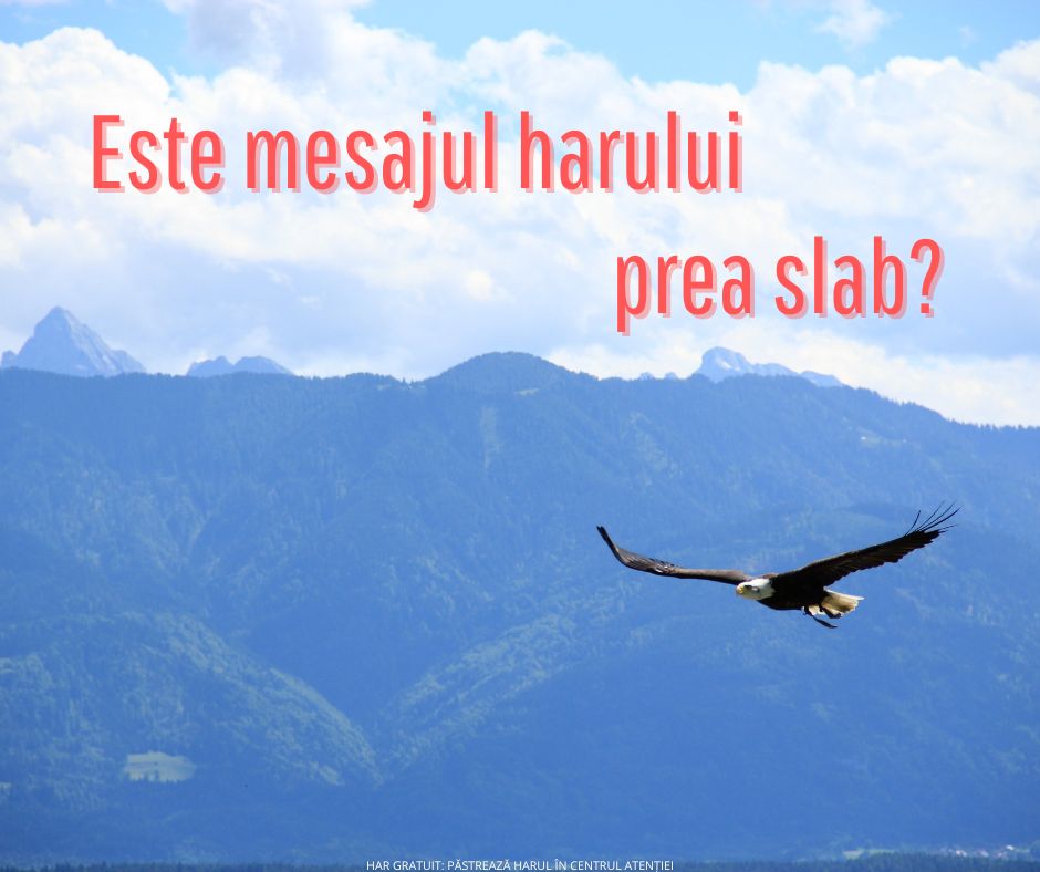 Erezia șoimului cu coadă roșie