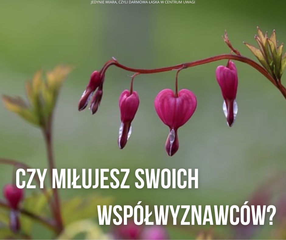 Añadir un título