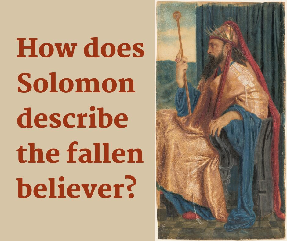 How does Solomon describe the fallen believer