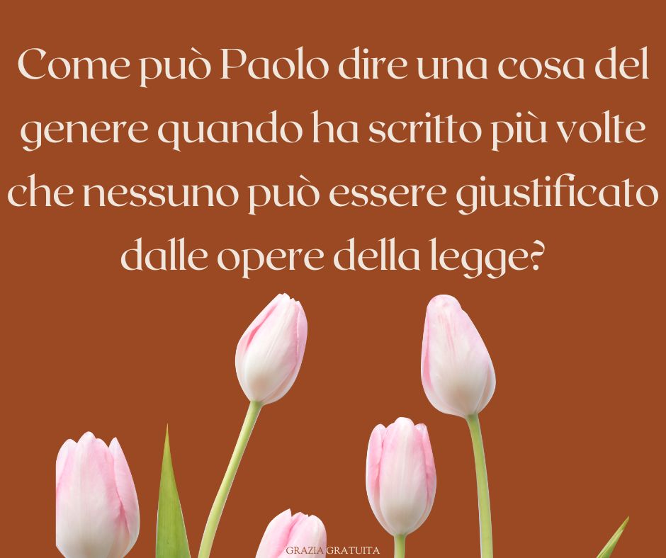 Paolo era davvero irreprensibile prima di giungere alla fede in Cristo22
