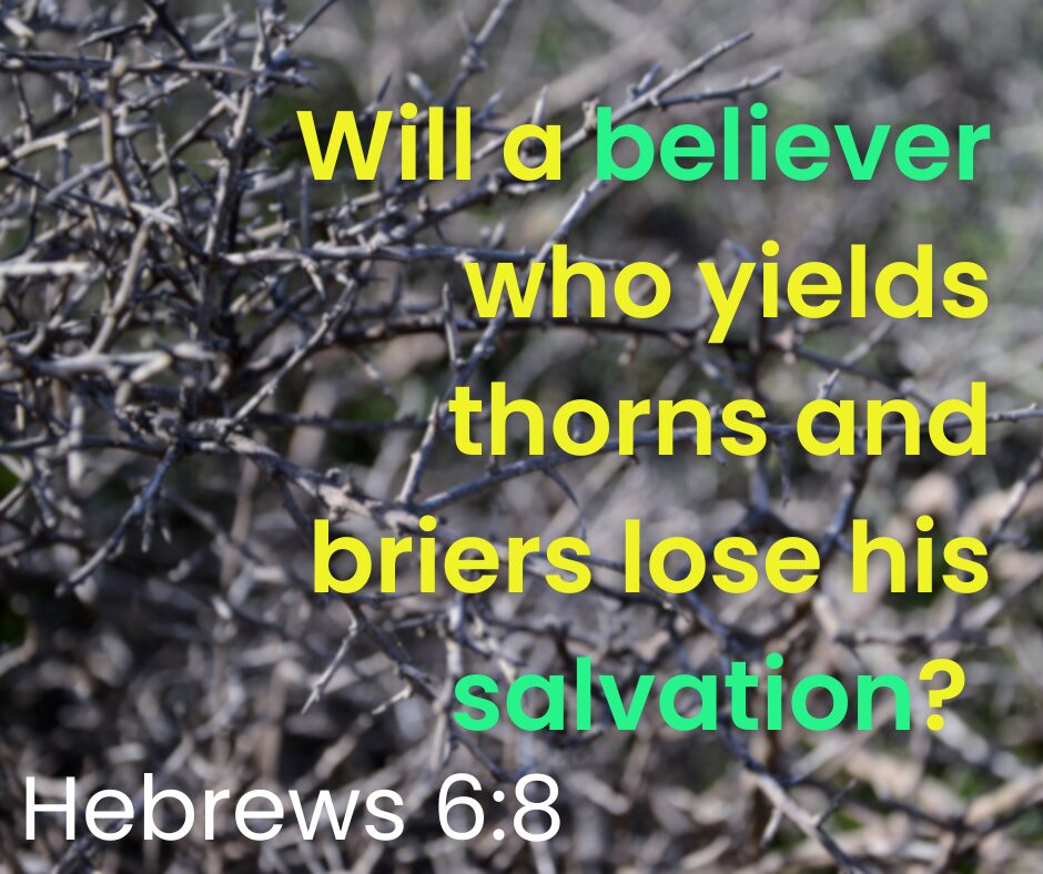 Does Hebrews 68 mean that when if a believer yields thorns and briers, he loses his salvation
