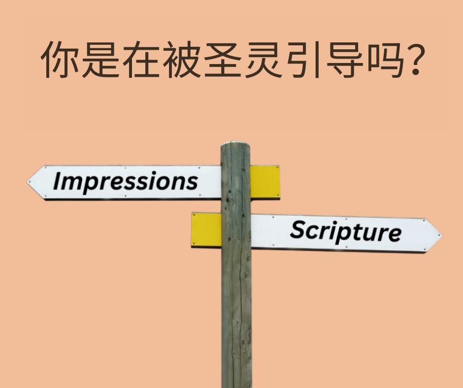 所有的基督徒都被圣灵引导吗