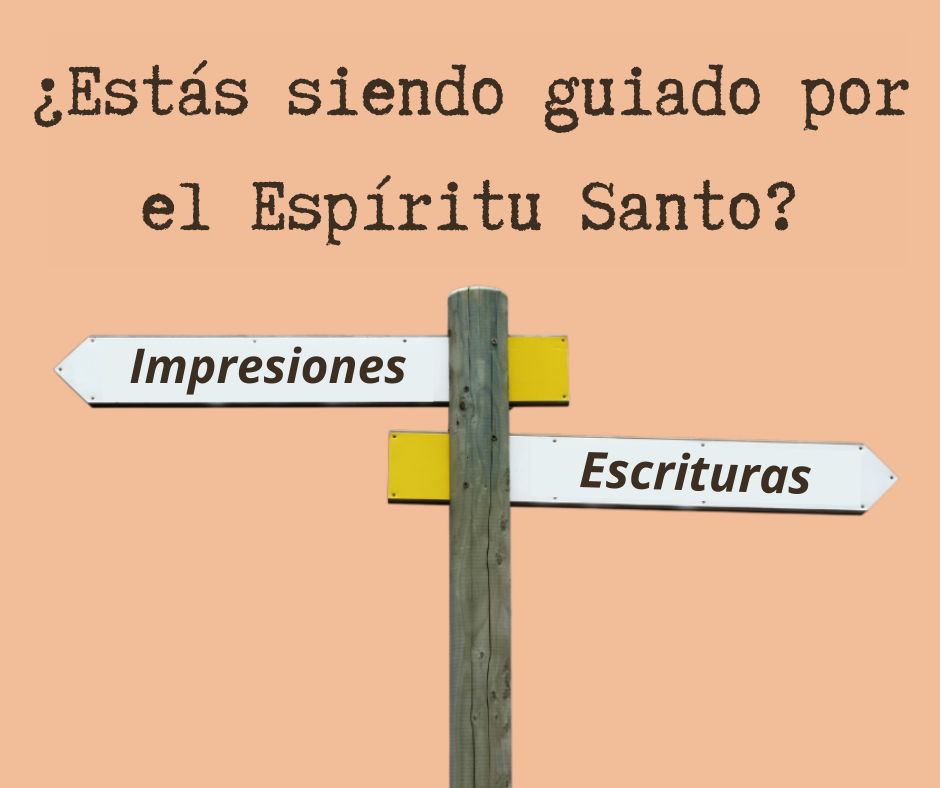 ¿Son todos los creyentes guiados por el Espíritu Santo (Romanos 8