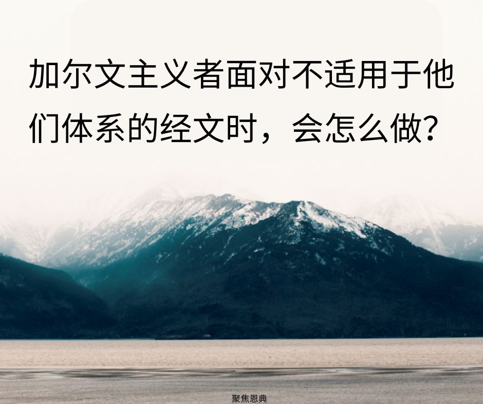 加尔文主义的奥秘经文盒22