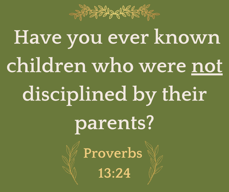 Have you ever known children who were not disciplined by their parents (1)