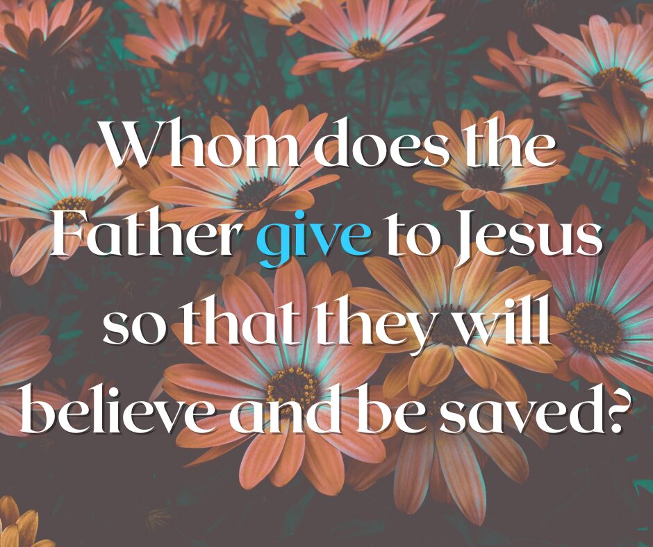 Whom does the Father give to Jesus so that they will believe and be saved
