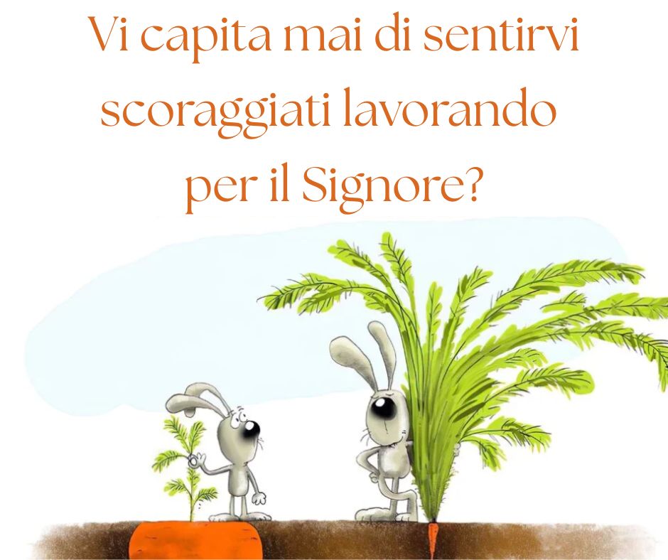 Non giudicare un raccolto dal suo fusto