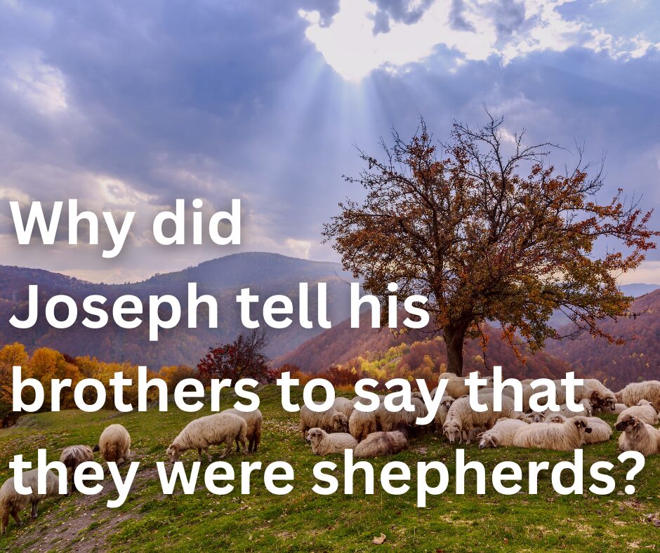 Why did Joseph tell his brothers to say that they were shepherds