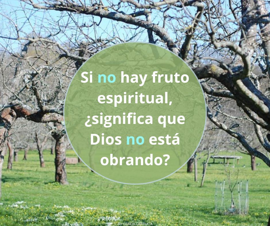 Sin raíz, sin fruto, sin Dios