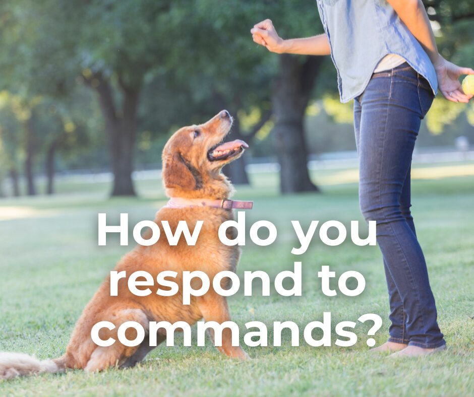 How do you respond to commands