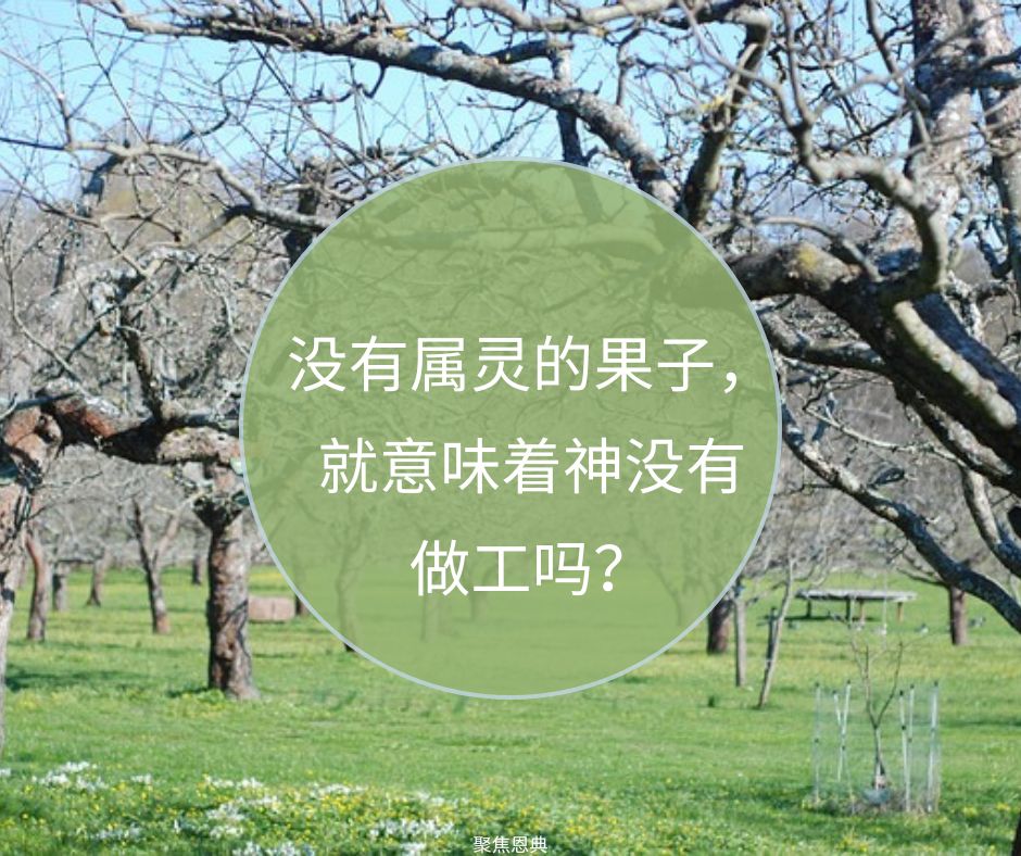 无根，无果，无神