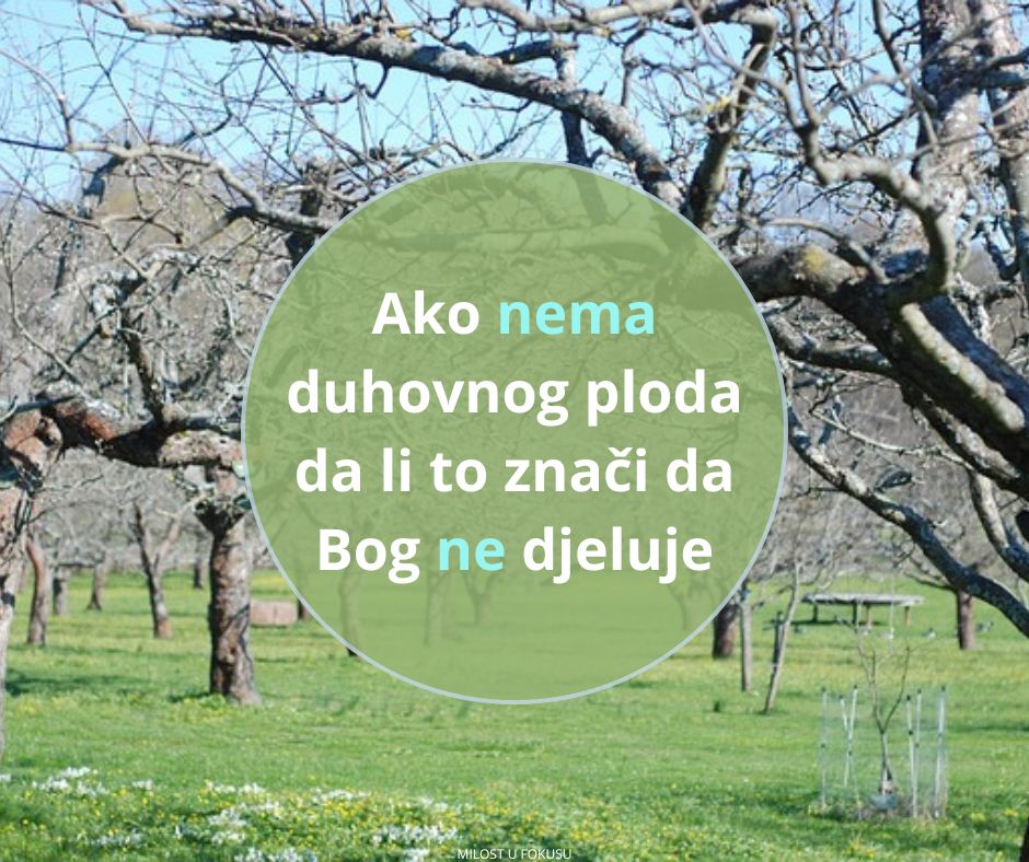Nema korijena, nema ploda, nema Boga
