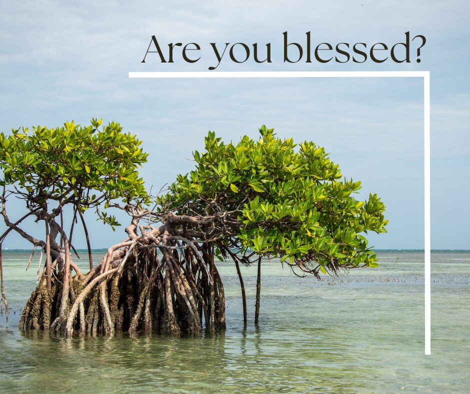 Are you blessed