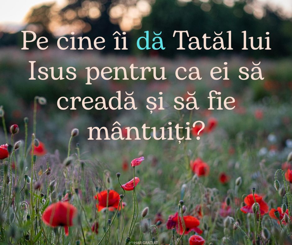 Învățătura din Ioan 6