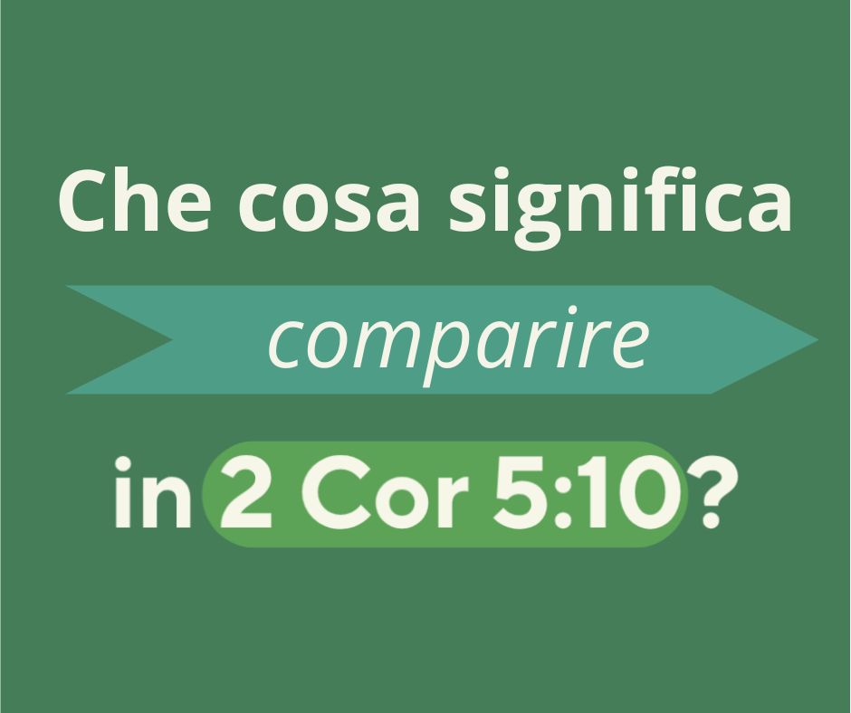 Non soltanto comparire22