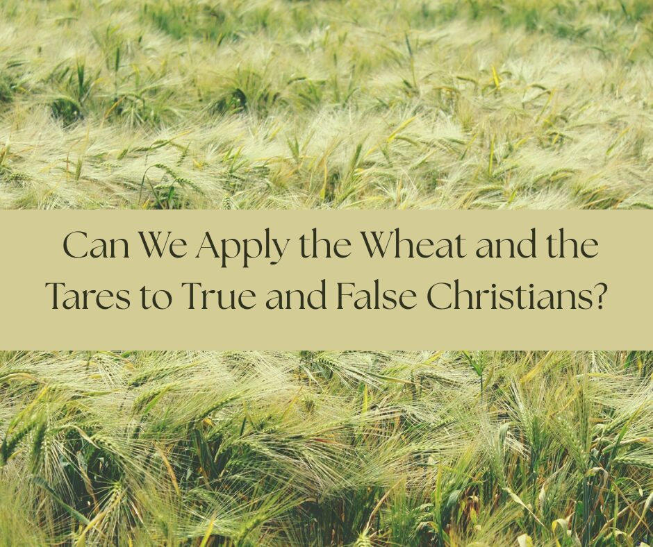 Can we apply the wheat and the tares to true and false Christians