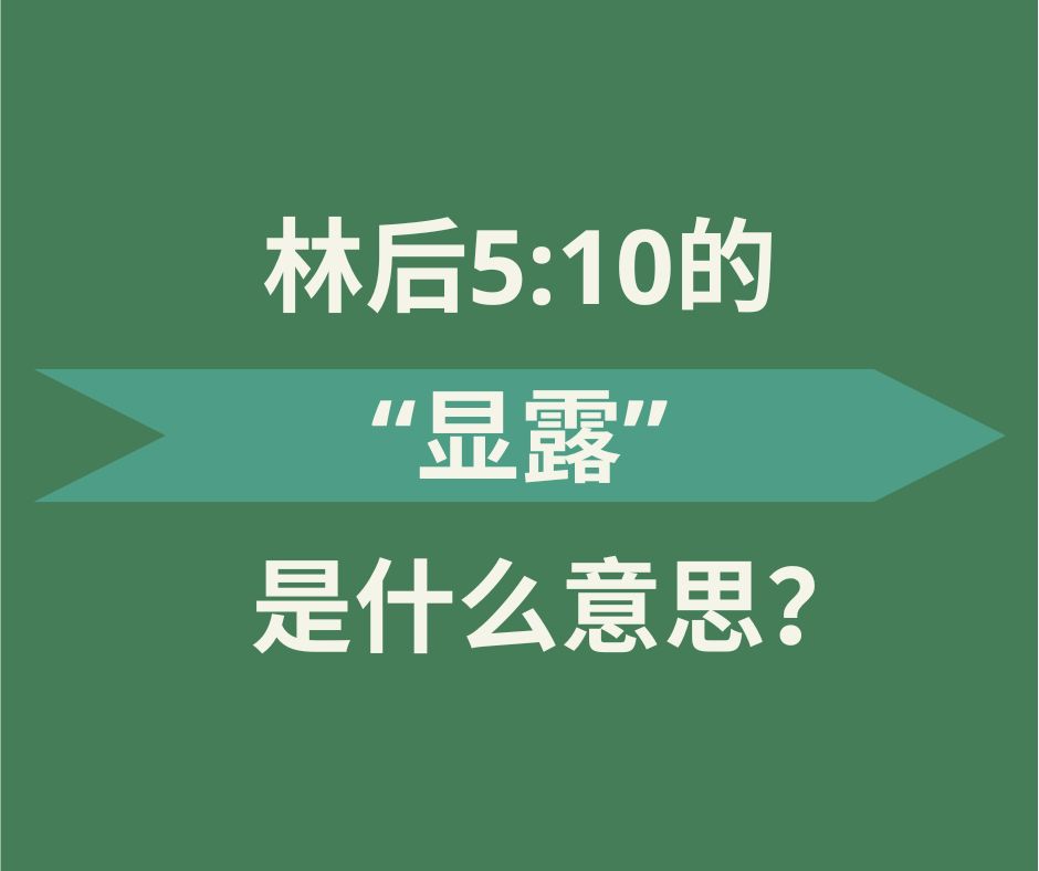 不止“显露“（林后5