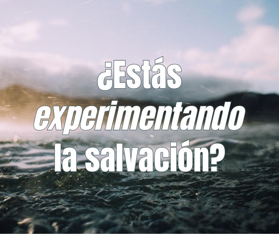 “Salvo” es una palabra flexible