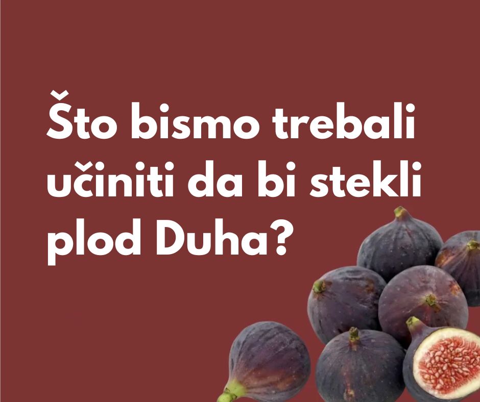 Što je plod Duha?