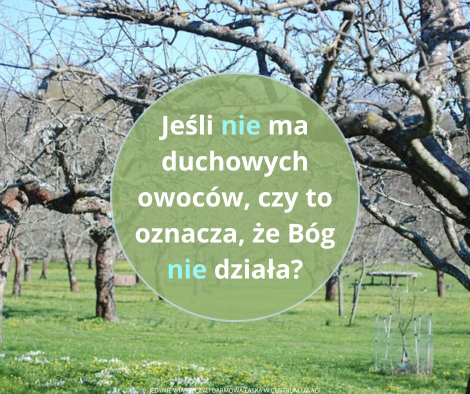 Bez korzeni, bez owoców, bez Boga