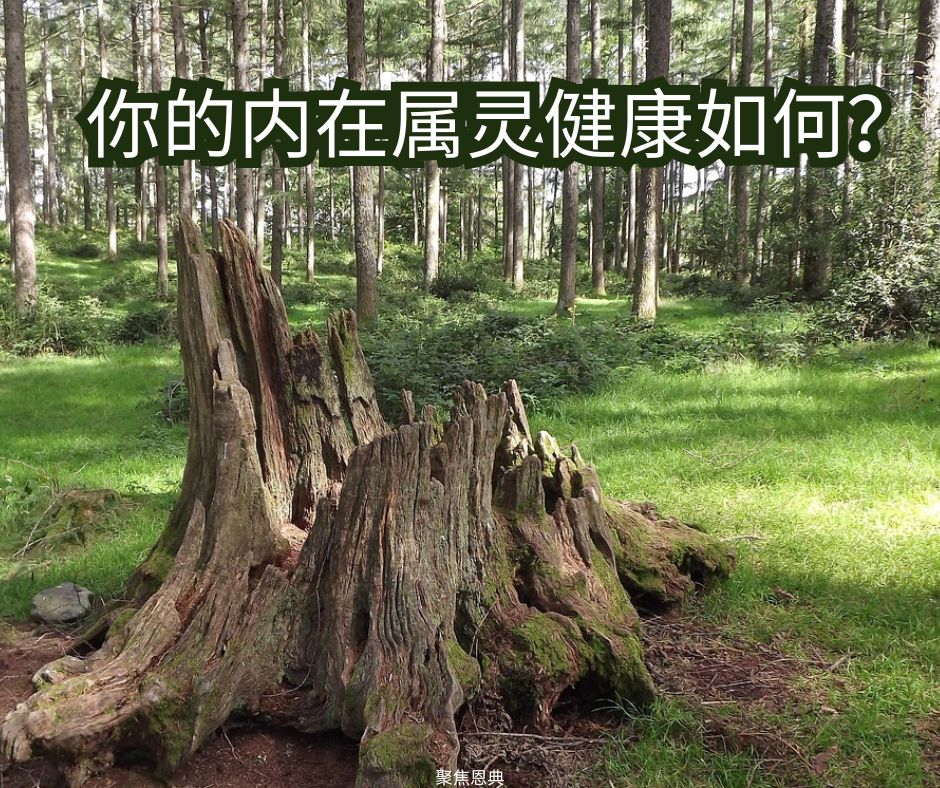 颗倒掉的美丽树干