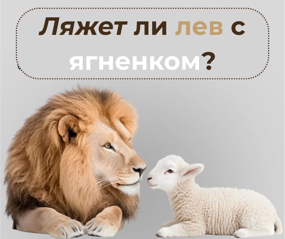 Богословие Манделы