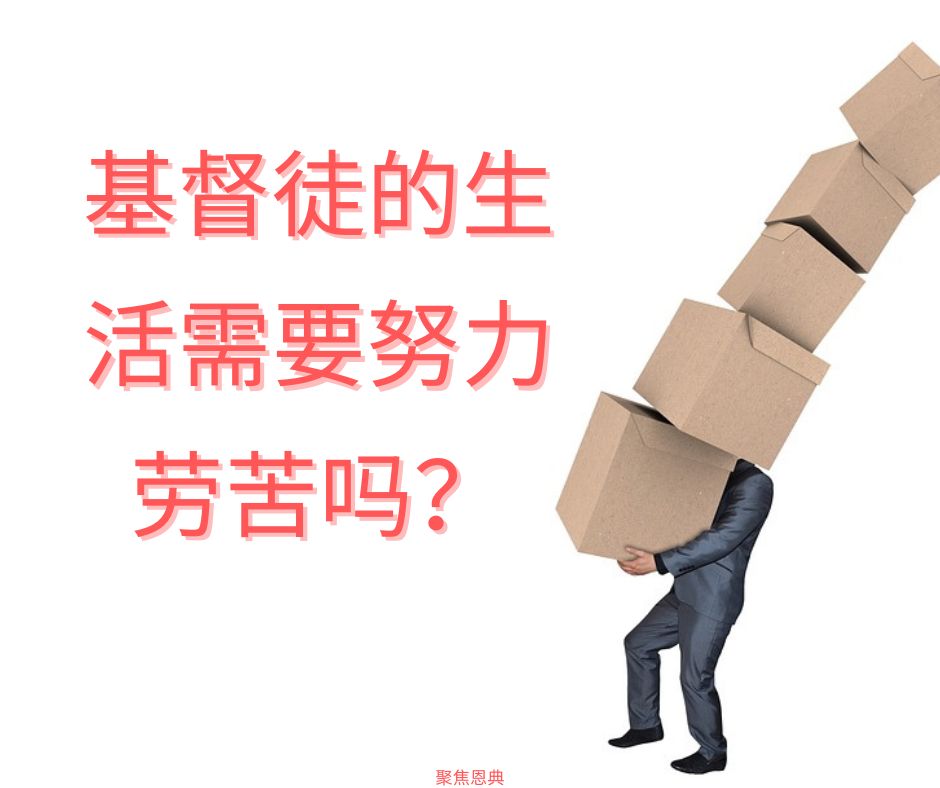 平衡恩典与善工