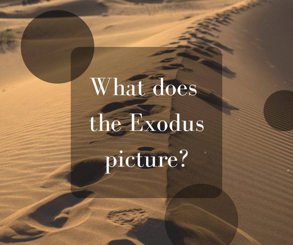 What does the Exodus picture