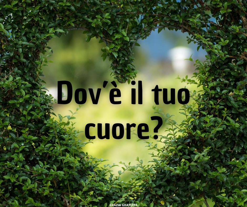 Discepolato e lealtà divisa