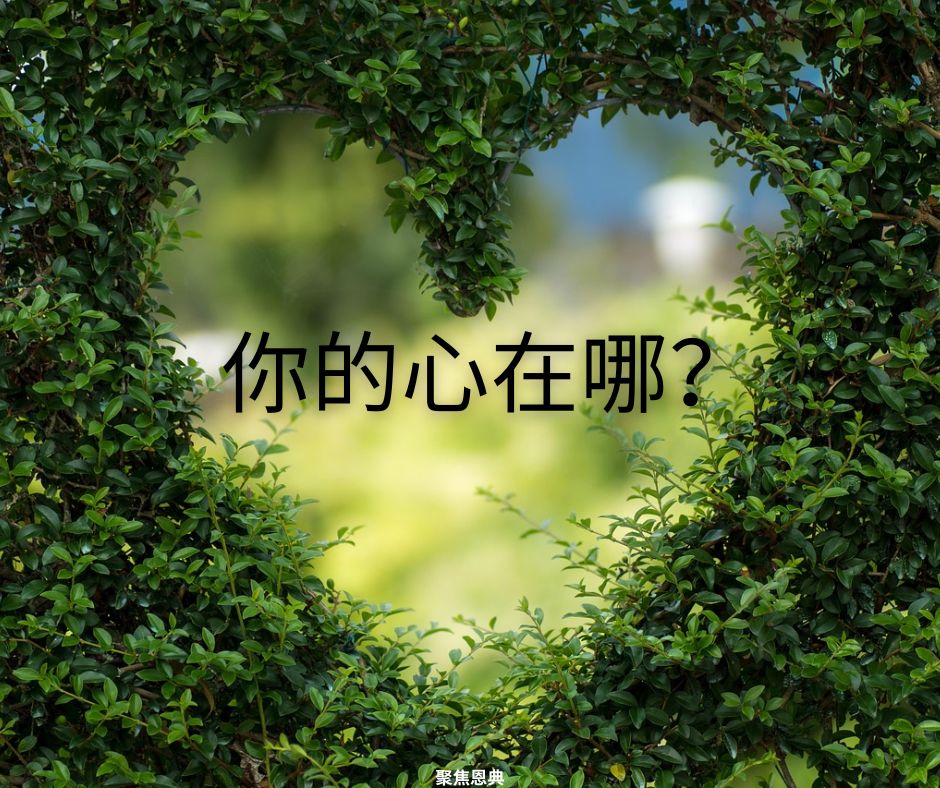 作门徒和分裂的忠心