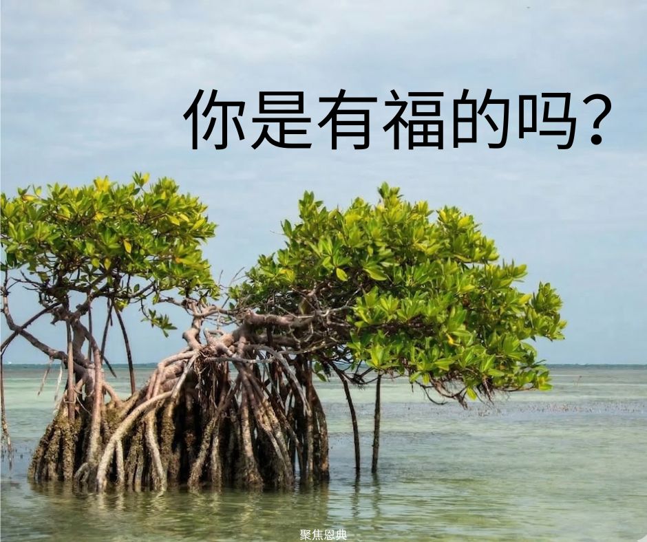 那些看到听到的有福了