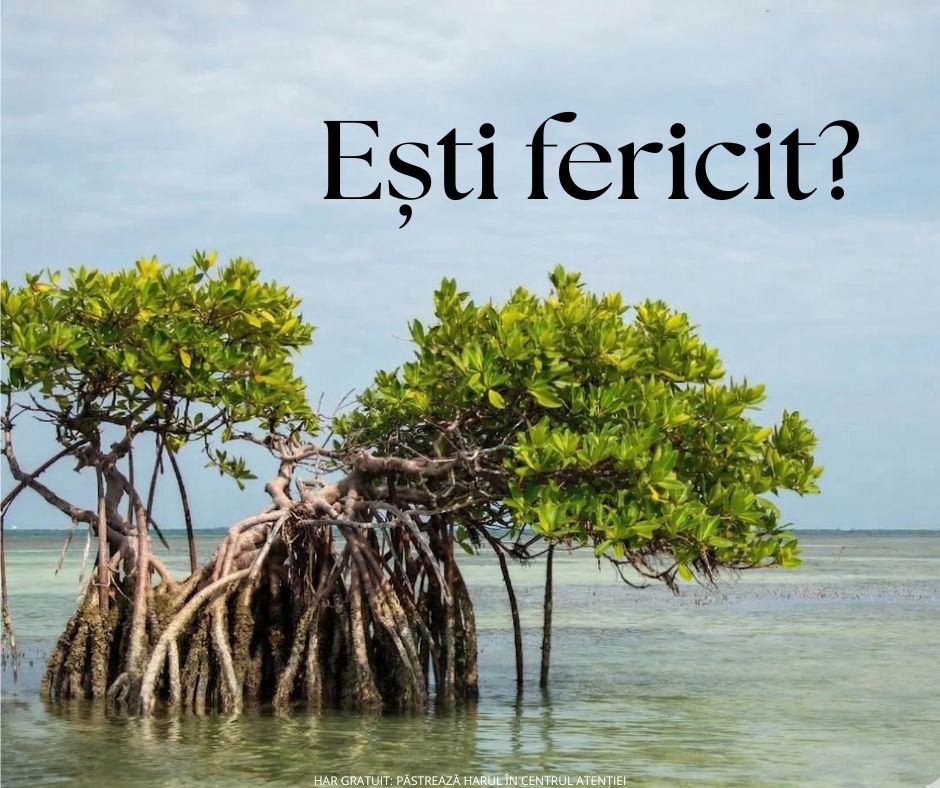 Ferice de cei ce văd și aud