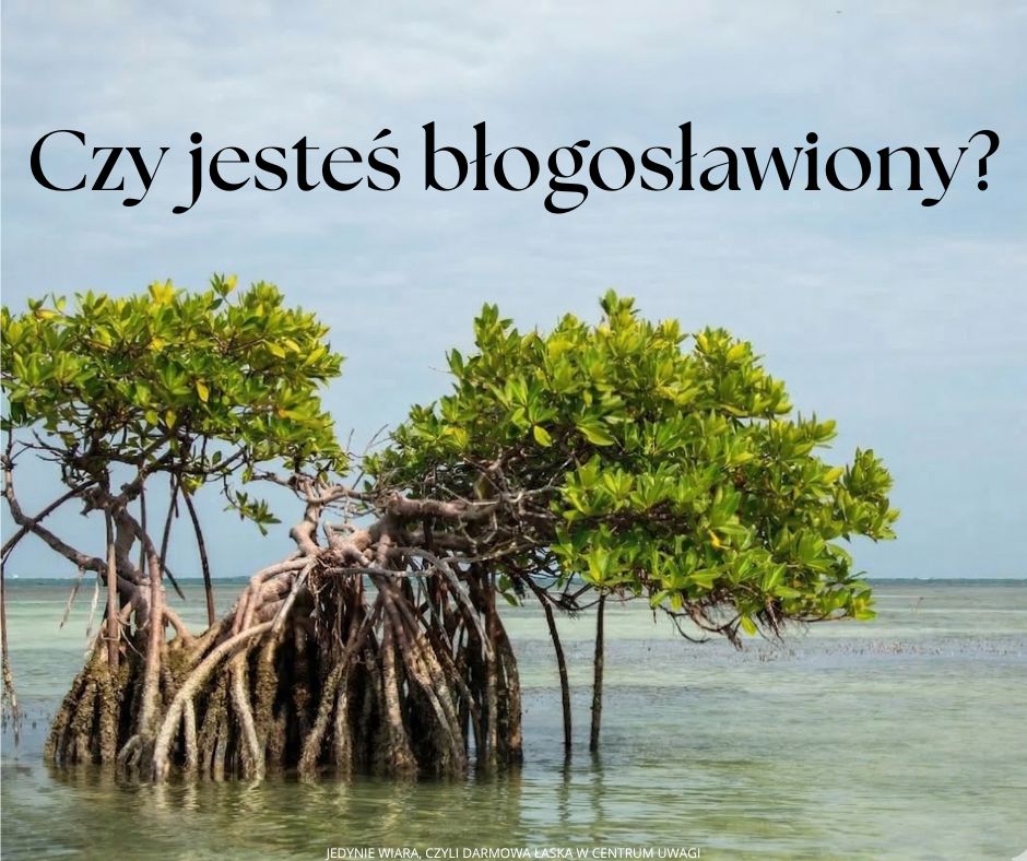 Błogosławieni są ci, którzy widzą i słyszą.