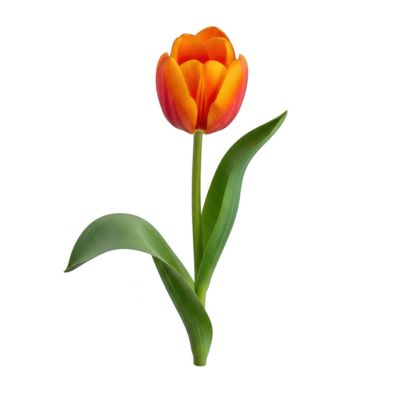 AdobeStock_1866561017
