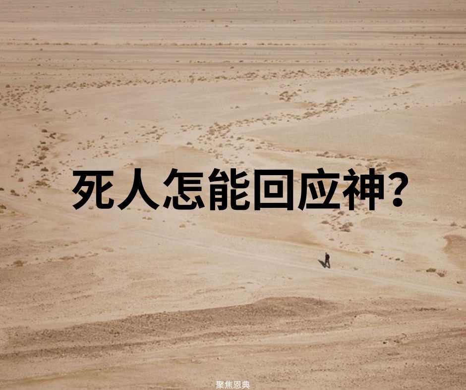 加尔文主义错在哪里？第一篇